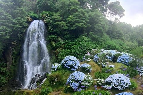 ノルデステ地区、東海岸、ポボアソン1日プライベートツアー
