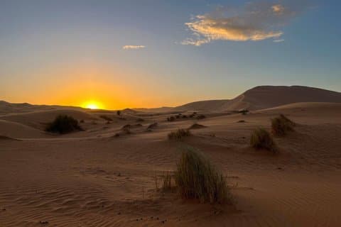 Private Transfer from Ouarzazate to Merzouga via Gourge todra