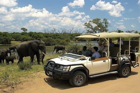 Heldagskryssning med Chobe Boat & Game Drive Safari Experience