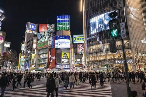 Trasferimento privato da Aeroporto Narita a Tokyo Hiace Van Fino a 9