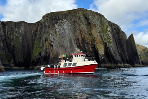 1 hour Dingle Bay Cliff Tour