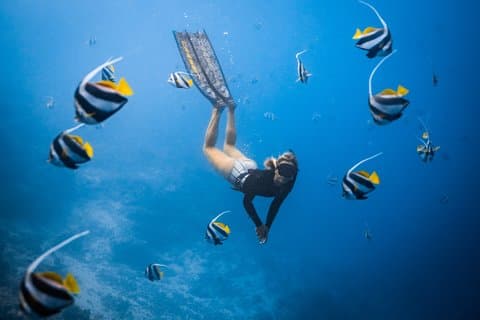 Privat Los Cabos snorklingstur til Chileno-bukten og Santa Maria-bukten