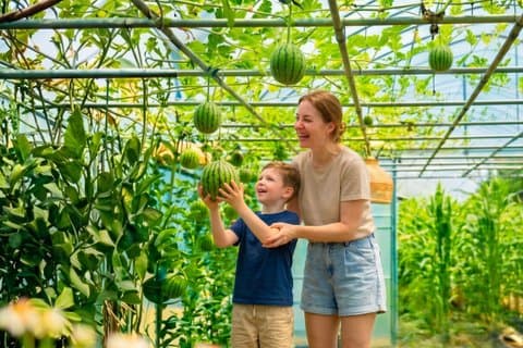 Excursión de temporada a la granja de frutas y ganado de ensueño desde Seúl