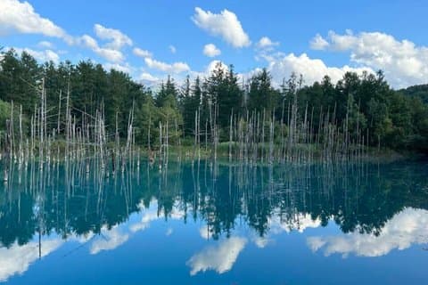 Hokkaido 2 Días Tour Floral de Verano Lavanda, Estanque Azul y Ningle