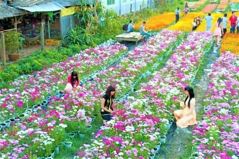 Da Lat Private City Tour and Pongour Waterfall