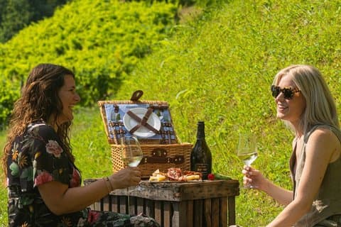 Guldupplevelse – Vingård Brunch & Hillside Winery Besök
