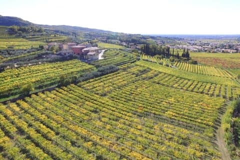 Amarone Della Valpolicella Wine Experience - Lernen Sie die Familie Vogadori kennen