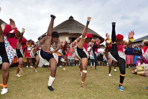 Reserva de jogos de Durban Tala e Phezulu Safari para pequenos grupos