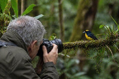 Mindo Birding: Anderna till molnskogen på 2 dagar