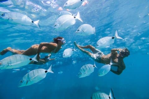 Ferge til Lobos Island + Snorkel fra Corralejo