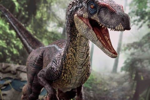 Jurassic Adventure Escape Room Game (2 - 8 Spieler) Jupiter