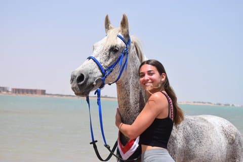 Hurghada strand og ørkenen ridning