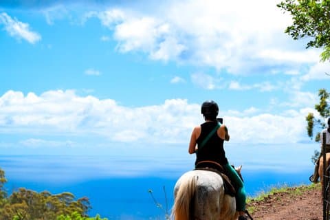 Pomeriggio Mountain Vista Passeggiata a cavallo su Oahu