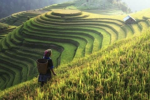 Sapa 2D1N van Hanoi Cat Village Fansipan Peak en Kabelbaan