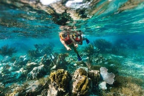 Mayan Reef Experience Immerse yourself in the Caribbean