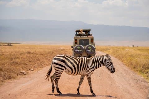 Dreitägige Serengeti und Ngorongoro Gruppe Camping Safari