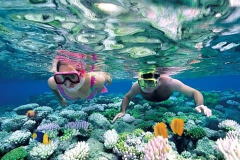 Nha Trang Deluxe Ocean Snorkling Tour med grill och Mud Bath