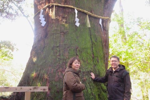 Excursão privada de Hakusan Foothills em carro a partir de Kanazawa