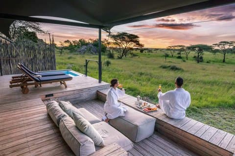 5 Tage Luxus Tansania Safari Erlebnis