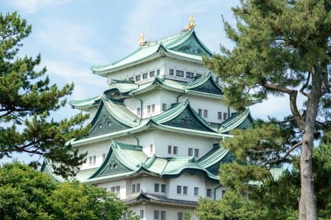 Nagoya Shore Excursion: Castle, Culture & Shopping