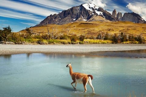Fra Cusco: Tur til de 7 Ausangate-lagunene med måltider