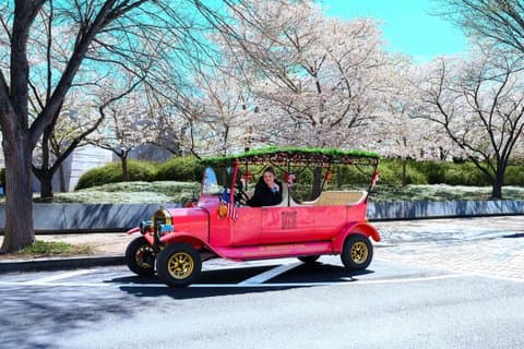 Washington DC Sightseeing Tour med Vintage Model-T Classic biler