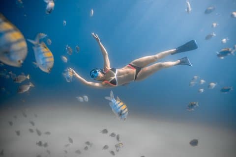 Los Cabos snorkling tur til Chileno Bay og Santa Maria Cove