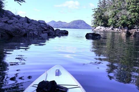 Sitka Coastal Experience