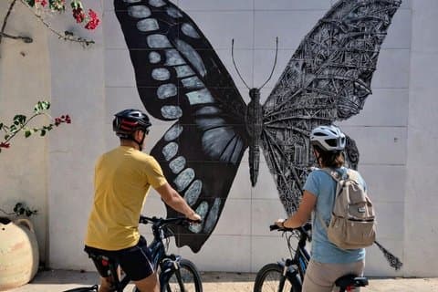 Djerbahood elektrisk cykeltur til gadekunstlandsbyen