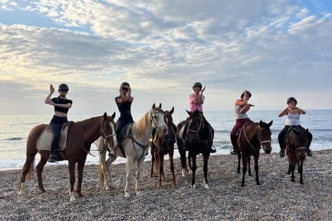 Ridning gennem fyrreskoven og langs en naturlig strand