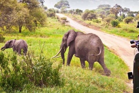Cape Town Garden Route 4-dagers liten gruppe-eventyr starter hver dag