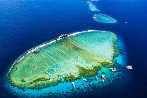 Tyrans ø udflugt fra Sharm El Sheikh