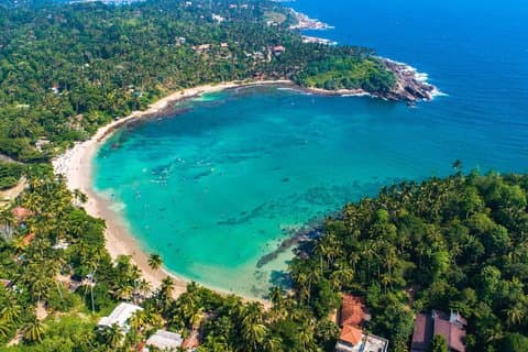 Sri Lanka's Best Transport and Tours (Aeropuerto, Multi-Día, etc.)