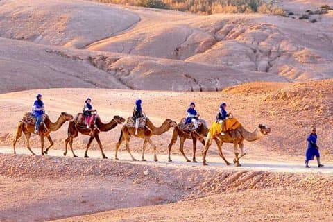 Agafay Desert Quad Camel Ride Dinner and Show from Marrakech