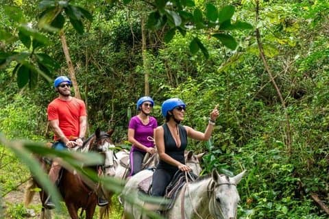 Samaná Horseback Riding Beste El Limón vannfall og Morón Beach