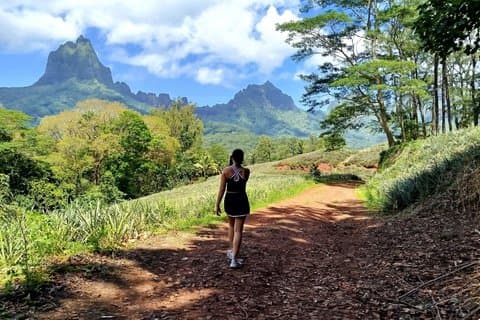 Moorea private hike Magic mountain and VIP tasting