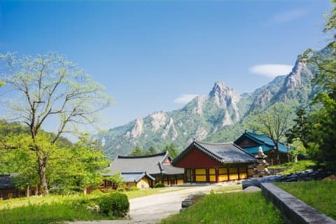 Mount Seorak og Nami Island en dagstur fra Seoul