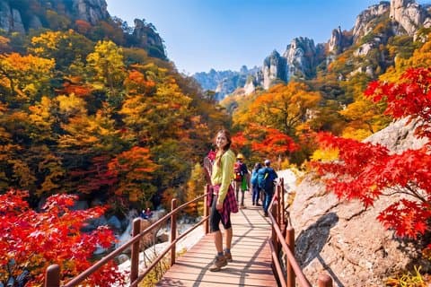 Mt. Seorak+Nami Island+Garden of Morning Rolig dagstur fra Seoul