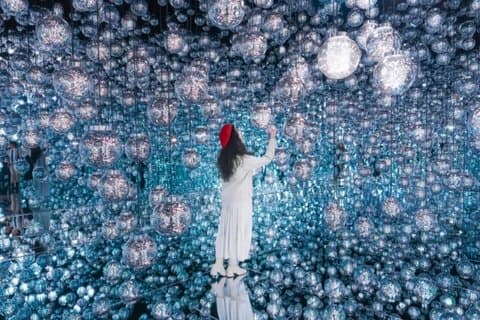 Tokyo TeamLab Ingresso senza frontiere