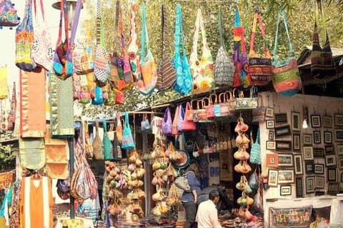 Customized Half or Full Day Delhi Shopping Tour with Female Guide