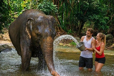Esperienza di cura dell'elefante a Koh Samui