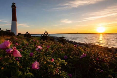 Discover New Jersey: A Self-Guided Tour