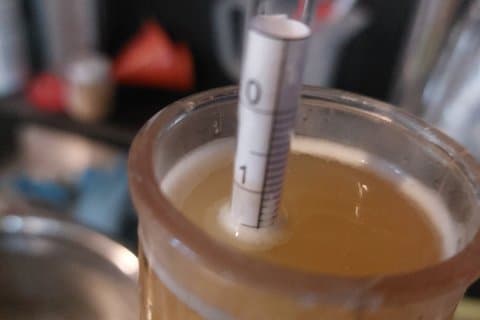 Genk - From Grain to Glass: Brewer for a Day