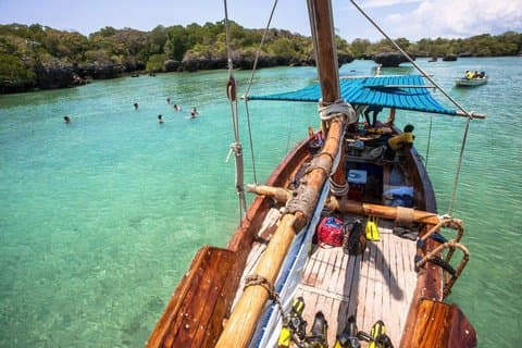 Safari Blue : Aventure océanique d'une journée à Zanzibar