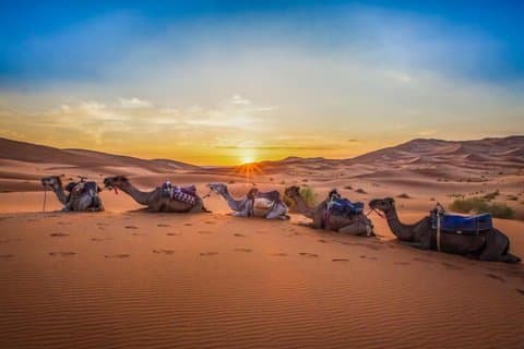 Wüstensafari - 3 Tage in den roten Dünen und BBQ mit dem Touareg