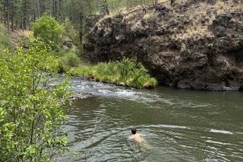 Avventura di un giorno al Mogollon Rim ed escursione guidata a un torrente appartato