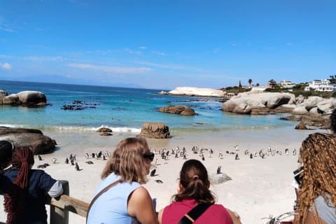 Meia-dia de Penguin and Whale Watching