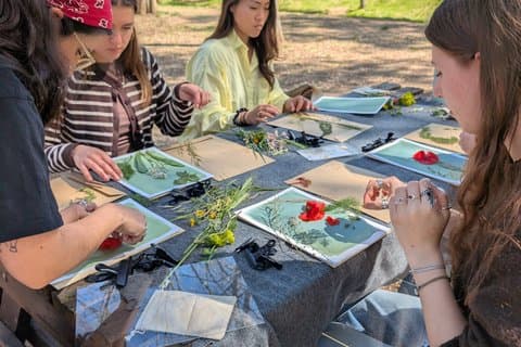 Paint and Countryside Walk with Picnic in Cardedeu
