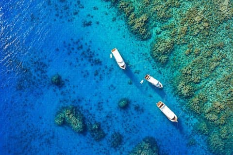 Hurghada : VIP Seafood Yacht to 3 Islands, Dolphins & Snorkeling