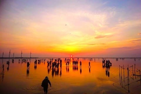 Spirits of the Sea, Dajia, Baishatun and Gaomei Day Trip